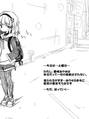 [あかしろいしいし] 蟲バイブと言いなり少女_104_AKISD01_D_E002