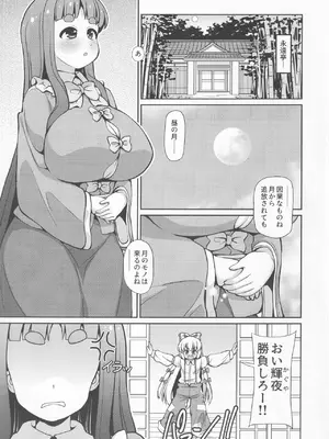 [魔導資料室 (嵐-D-悪鬼羅、佐々木てろん、emina)] I2 (東方Project)_02