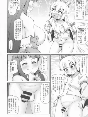 [魔導資料室 (嵐-D-悪鬼羅、佐々木てろん、emina)] I2 (東方Project)_11
