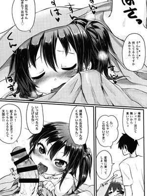 (C104) [もふしっぽらぼ (なかむらすばる)] ひとけたふぇすてぃばる!_016