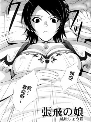 [U.R.C (桃屋しょう猫)] 星彩無惨 (真・三國無双) [中国翻訳][暗狼去码][無修正][DL版]_005