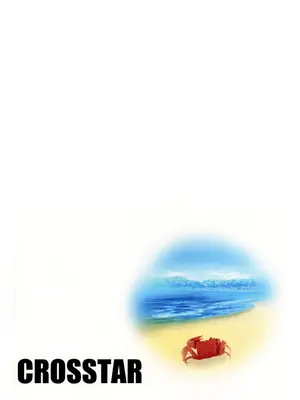 (C104) [CROSSTAR (GX)] 海辺の姫君 (Blue Archive)_22