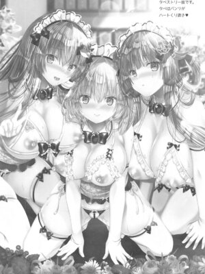 (秋季例大祭11) [せとらん、110 (タンノらん、イトウせと)] 常識改変 ようこそ東方喫茶へ! ～早苗さん&アリスさん編～ (東方Project)_25
