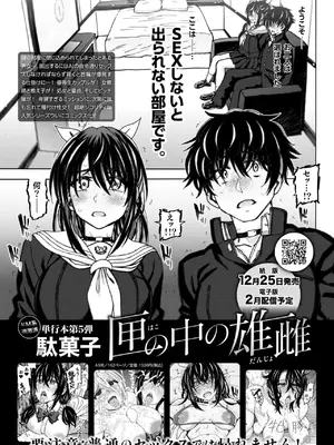 COMIC 快楽天 2025年1月号 [DL版]_364