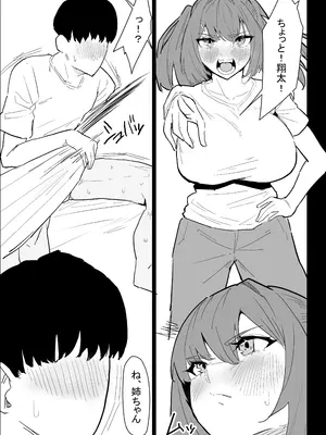 [ぷりんたい] 彼氏持ちの仕方なく抜いてくれる爆乳な姉_023