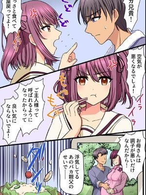 (同人誌) [MC] 崩れ去った日常～変わってしまった爆乳母と初めてだった巨乳妹に懇願されてセックスして中出しして～_10