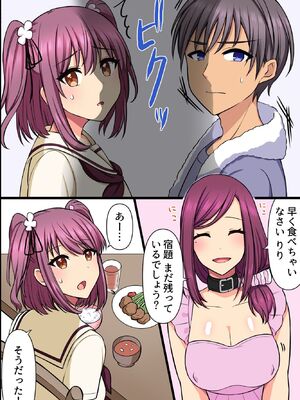 (同人誌) [MC] 崩れ去った日常～変わってしまった爆乳母と初めてだった巨乳妹に懇願されてセックスして中出しして～_11