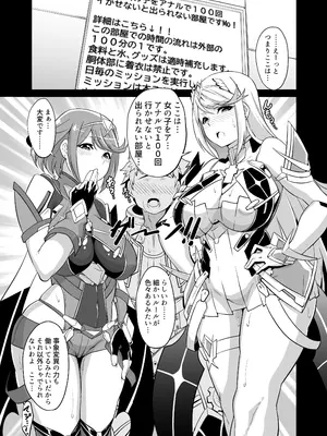 [白い闇 (k-you)] ソドミーズルーム (ゼノブレイド2) [DL版]_04