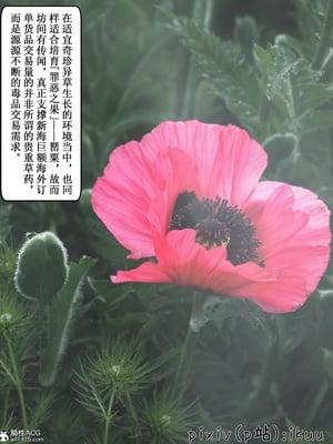 [ikuu]玫瑰的沉沦01_003