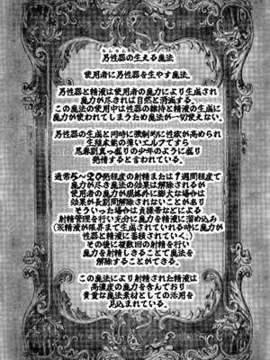 (C104) [せいのまもの (せーま、瞬膜)] フリーレンと男性器の生える魔法 (葬送のフリーレン)_30