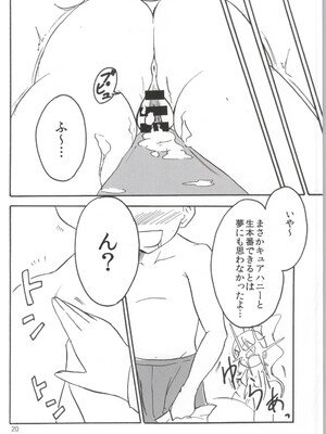 (こみトレ24) [なまやつはし (たも)] なまハニー (ハピネスチャージプリキュア!)_19
