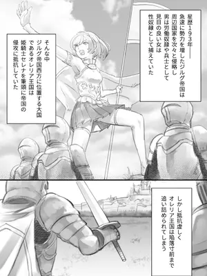 [OHS] スレイブ・セレナ -性●隷に堕ちた姫君-_02