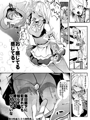 [背徳漢 (背徳漢)] 東方時姦総集編1 (東方Project)_053