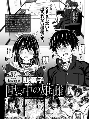 WEEKLY快楽天 2024 No.48_37