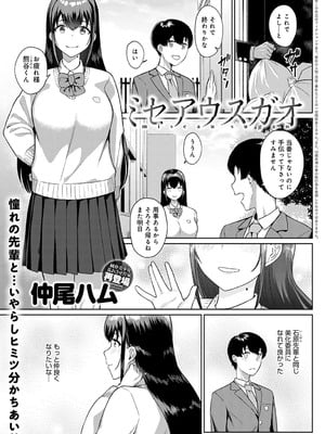 [仲尾ハム] ミセアウスガオ