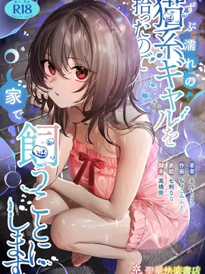 [聖華快楽書店 (七剣なな、ちょこみんと)] ずぶ濡れの猫系ギャルを拾ったので家で飼うことにします [DL版]