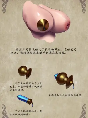 D VS N CH 1-7_055
