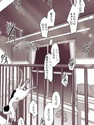 [ぽりうれたん] ぽりうれたん短編集-艶-_255