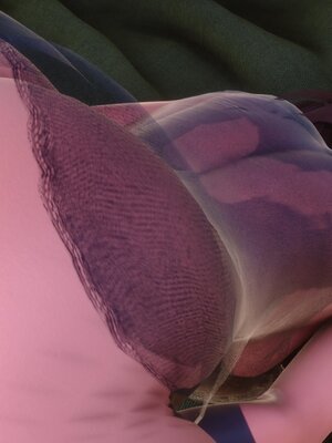 [3D]秘密01-48+番外01-03_007202