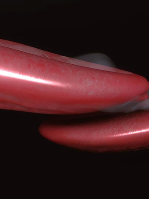 [3D]秘密01-48+番外01-03_022157