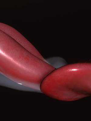[3D]秘密01-48+番外01-03_022158