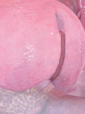 [3D]秘密01-48+番外01-03_022203