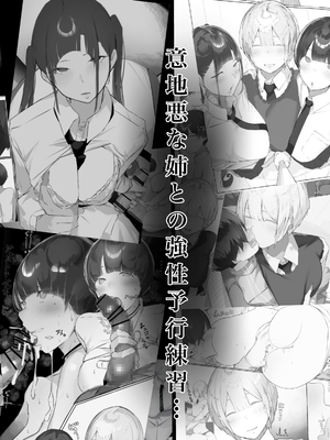 [ミントのちっちゃいお穴 (ミント・ムッツリーニ)] お姉ちゃんはみるく味 (オリジナル)_04_4
