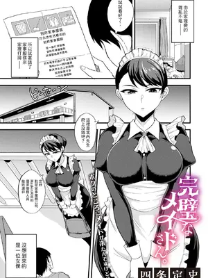 [四条定史] 完璧なメイドさん。 (コミックメガストア Vol.14) [中国翻訳]