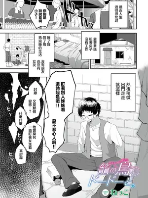 [ねっこ] 籠の鳥とドードーと。 (ダンジョン攻略はSEXで!! Vol. 9) [中国翻訳] [DL版]