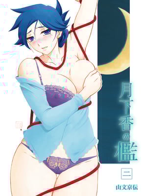 [山文京伝] 月下香の檻 2 [中国翻訳] [ELF个人汉化] [DL版]_02_003
