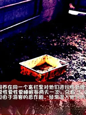 [新世界漫画研究会 (雨宮ハルノフ)] 淫妖怪談 キ印乳業退魔録 (淫妖蟲) [boyu个人汉化]_44