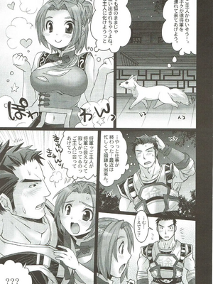 (C87) [H.A.O (Tom)] ハオコレ2 (真・三國無双)_004