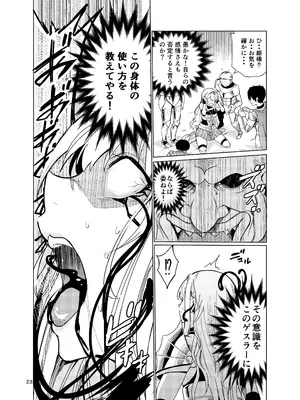[レイドソックス (トリッキー)] 狂乱の討伐姫ダリア2_22