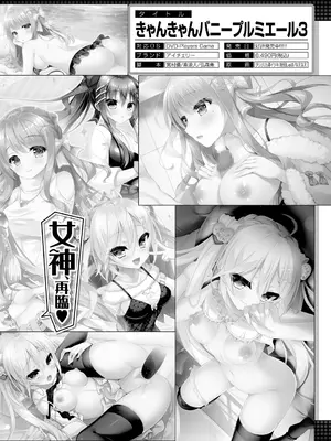 COMIC 夢幻転生 2024年12月号 [DL版]_588