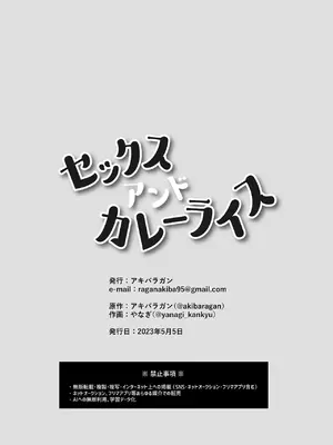 [アキバラガン (やなぎ)] セックスアンドカレーライス [DL版] [萌意永久人个人汉化]_19