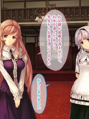 [どろっぷす! (大人のSEXY絵本)] 母娘乱館 CGノベル版 総集編 ～妊姦の一族。孕ませ儀式で栄華を築く～_013