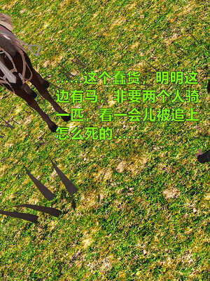 [smallflyingrat]黄蓉襄阳后记 11-22_0104