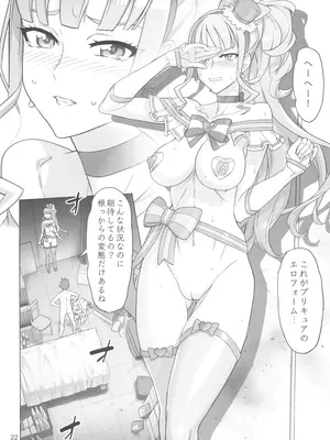 (C105) [Digital Accel Works (INAZUMA)] 猫屋敷開発 (わんだふるぷりきゅあ!)_22