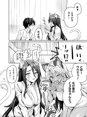 [KOYUKI屋 (koyuki、焼きトマト)] ギャル猫娘がうちに住み着いてなぜか毎日3P三昧になってしまう話_28