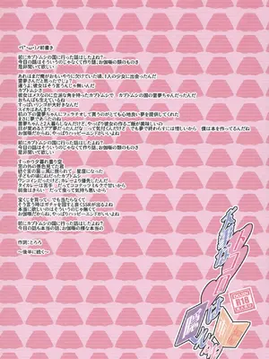 (C93) [とりあえず(仮) (とろろ)] 大事なトコロは隠してする本 (東方Project)｜把重要的地方藏起來的本子 [明稿昨拖漢化組]_03