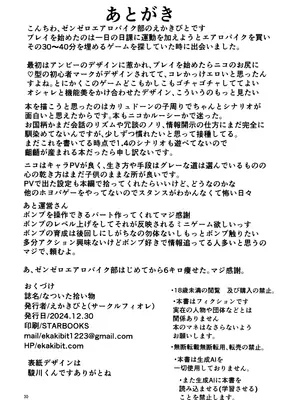 (C105) [サークルフィオレ (えかきびと)] なついた拾い物 (ゼンレスゾーンゼロ)_29