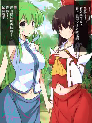 [おのでらさん家 (おのでらさん)] 東方催眠淫魔境～導～ (東方Project) [中国翻訳]_10