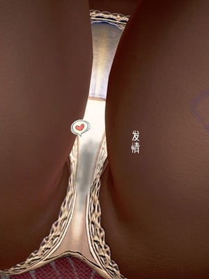 [小葱拌大蒜]香汗淋漓的房间01-02(完)_02-074