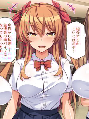 [ミミズサウザンド]高嶺の花だと思っていた生徒会長達がこんなにドスケベだったなんてっ！？_0068