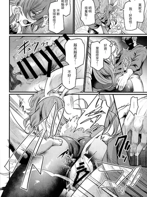 (C105) [いっきづか (きづかかずき)] 秩序バニー (グランブルーファンタジー) [中国翻訳]_15