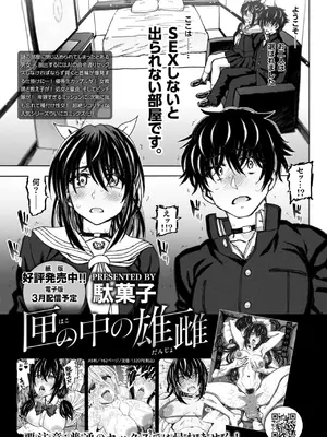 COMIC 快楽天 2025年3月号 [DL版]_353