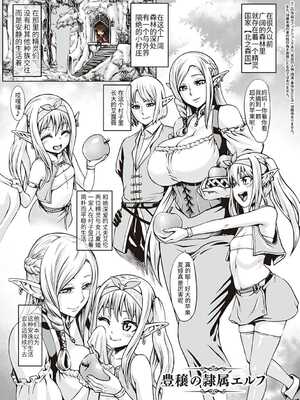 [青豆腐(ねろましん)]豊穣の隷属エルフ Ⅰ-Ⅶ & Aft,IF線,小說特典+元奴○エルフの秘め事  [DL版][中国翻訳][疏碼]_015