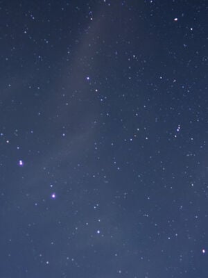 [ウキ] 不敬仙 11-17_0654