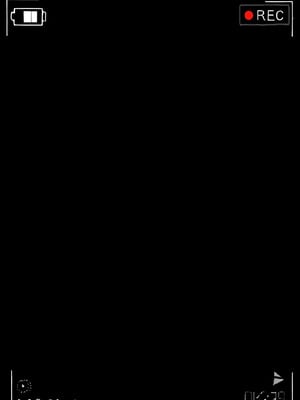 gray--布洛尼亚[AI Generated]_002_120642019_p1