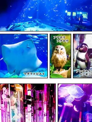 [STUDIOふあん (来鈍)] 褐色肌版 飯犯トラベラーズ 沖縄集団レ〇プ済 ハーレムひとり旅編_082